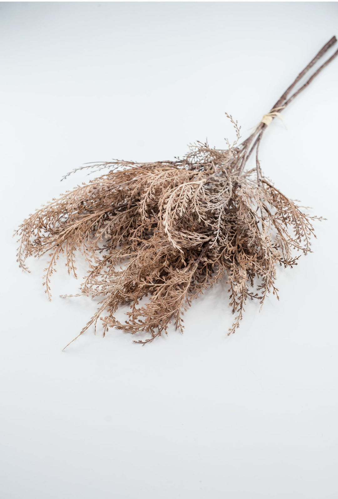 Faux dried fern grass bundle - brown - Greenery MarketArtificial Flora26299