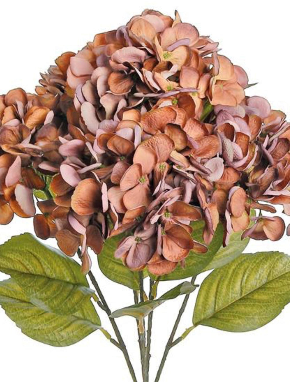 Faux dried Hydrangea bush - rust - Greenery Marketartificial flowers5313 - rt