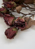 Faux dried mini rose spray bundle - burgundy - Greenery MarketArtificial Flora26242