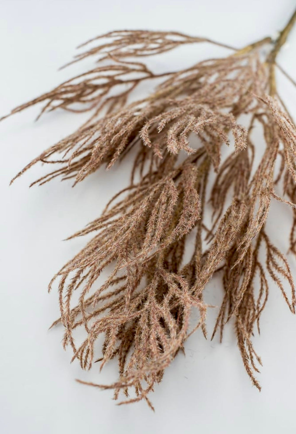 Faux Dried reed spray - brown - Greenery MarketArtificial Flora26427