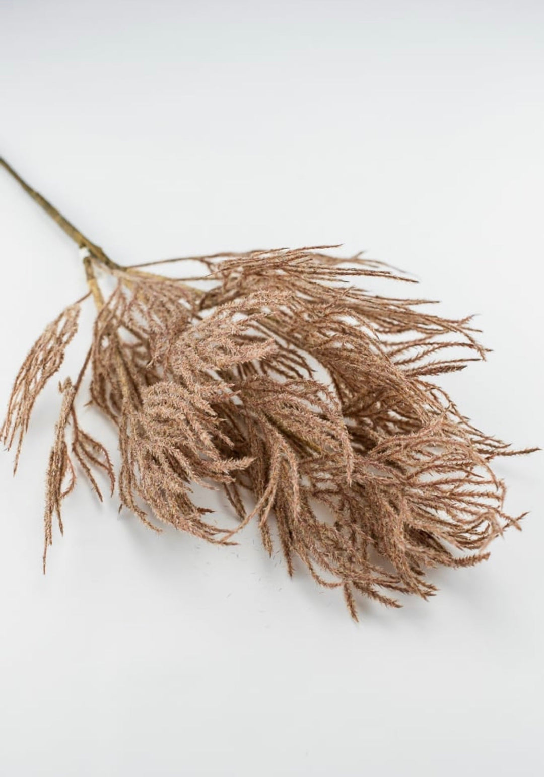 Faux Dried reed spray - brown - Greenery MarketArtificial Flora26427