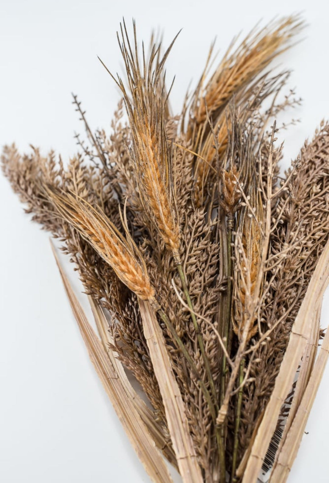 Faux dried wheat grass bundle - brown - Greenery MarketArtificial Flora26261