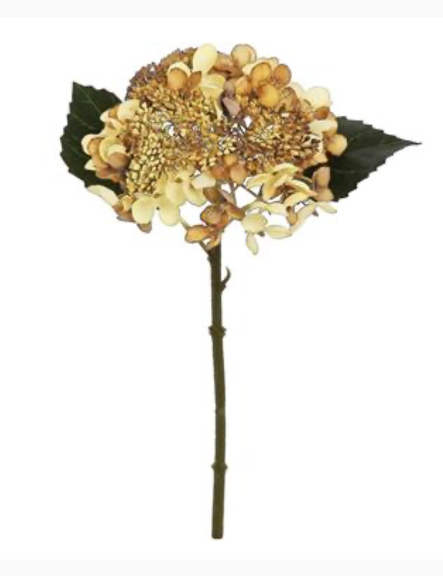 Faux Hydrangea stem - brown beige - Greenery Marketartificial flowers5043 - BRNBE