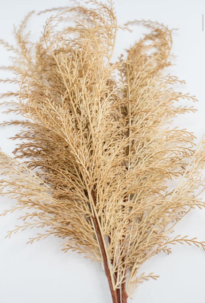 Feather fern bundle - beige - Greenery Marketgreenery82680 - BE