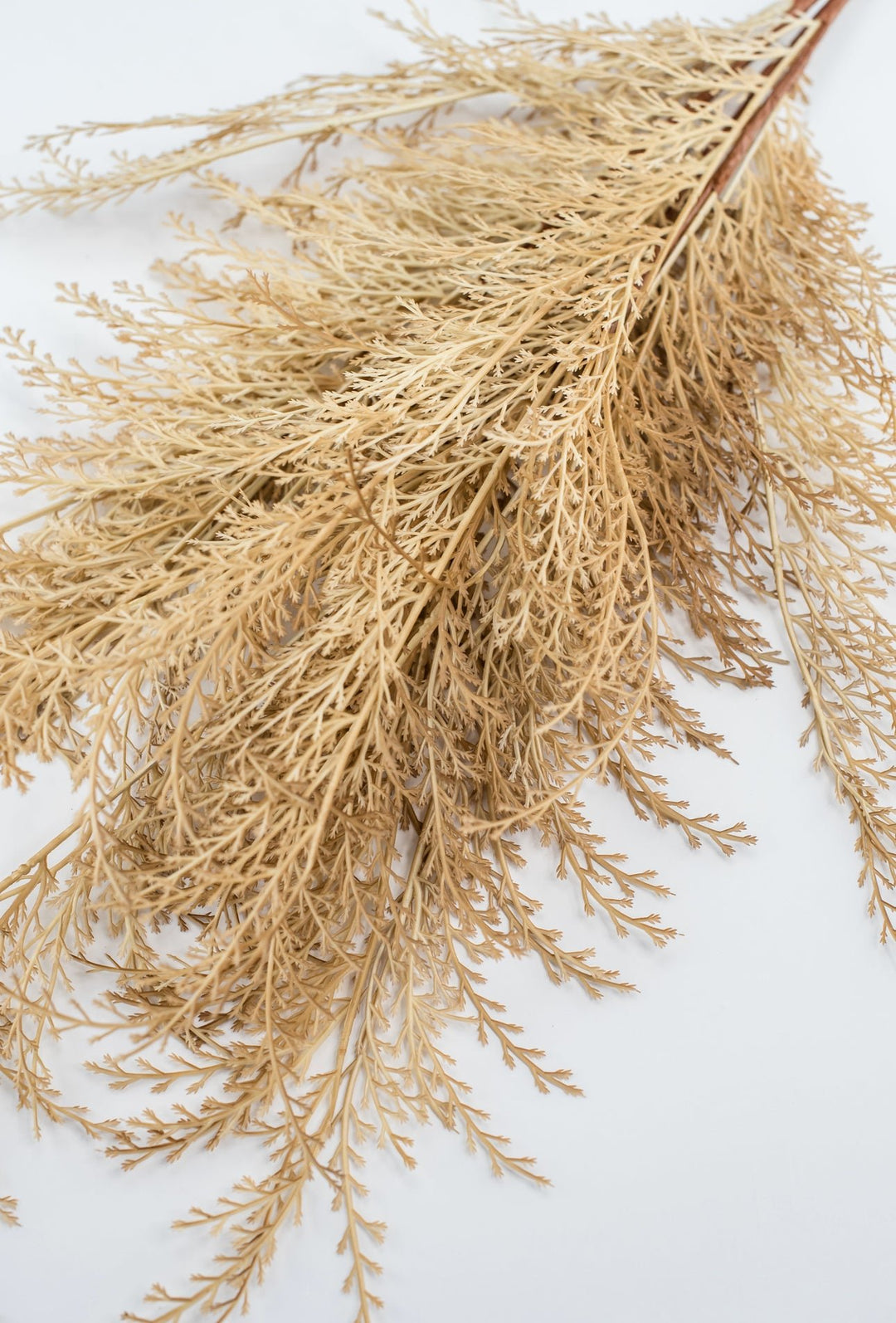 Feather fern bundle - beige - Greenery Marketgreenery82680 - BE