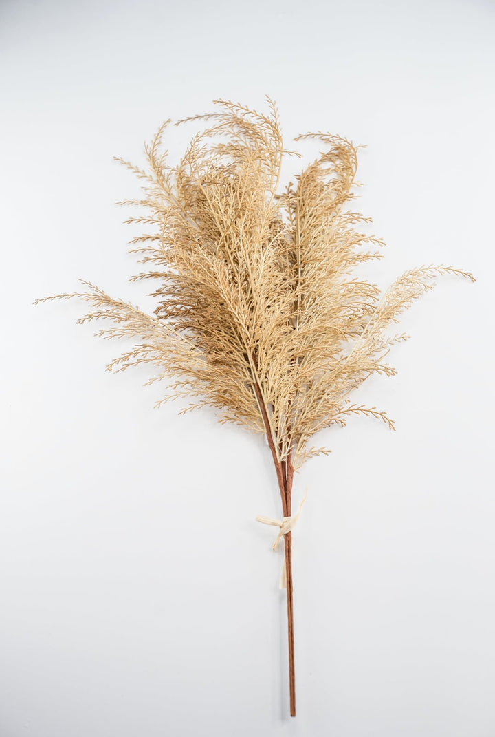 Feather fern bundle - beige - Greenery Marketgreenery82680 - BE