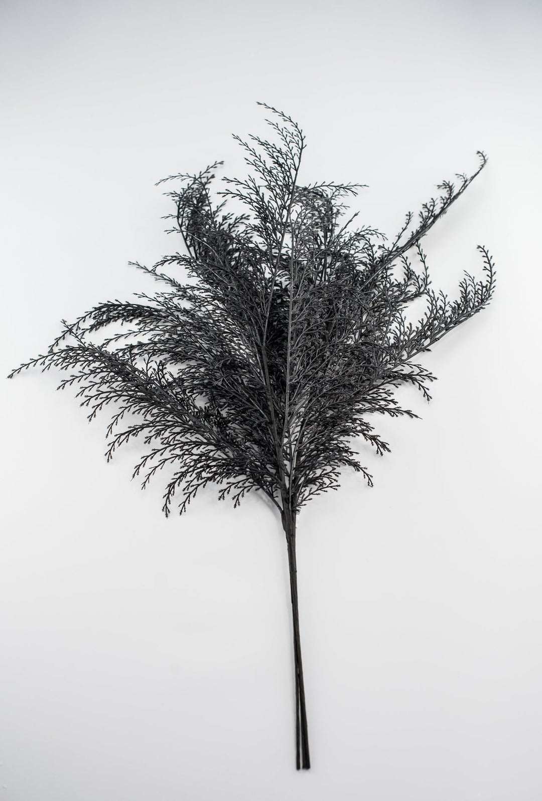 Feather fern bundle - black - Greenery Marketgreenery82680 - BK