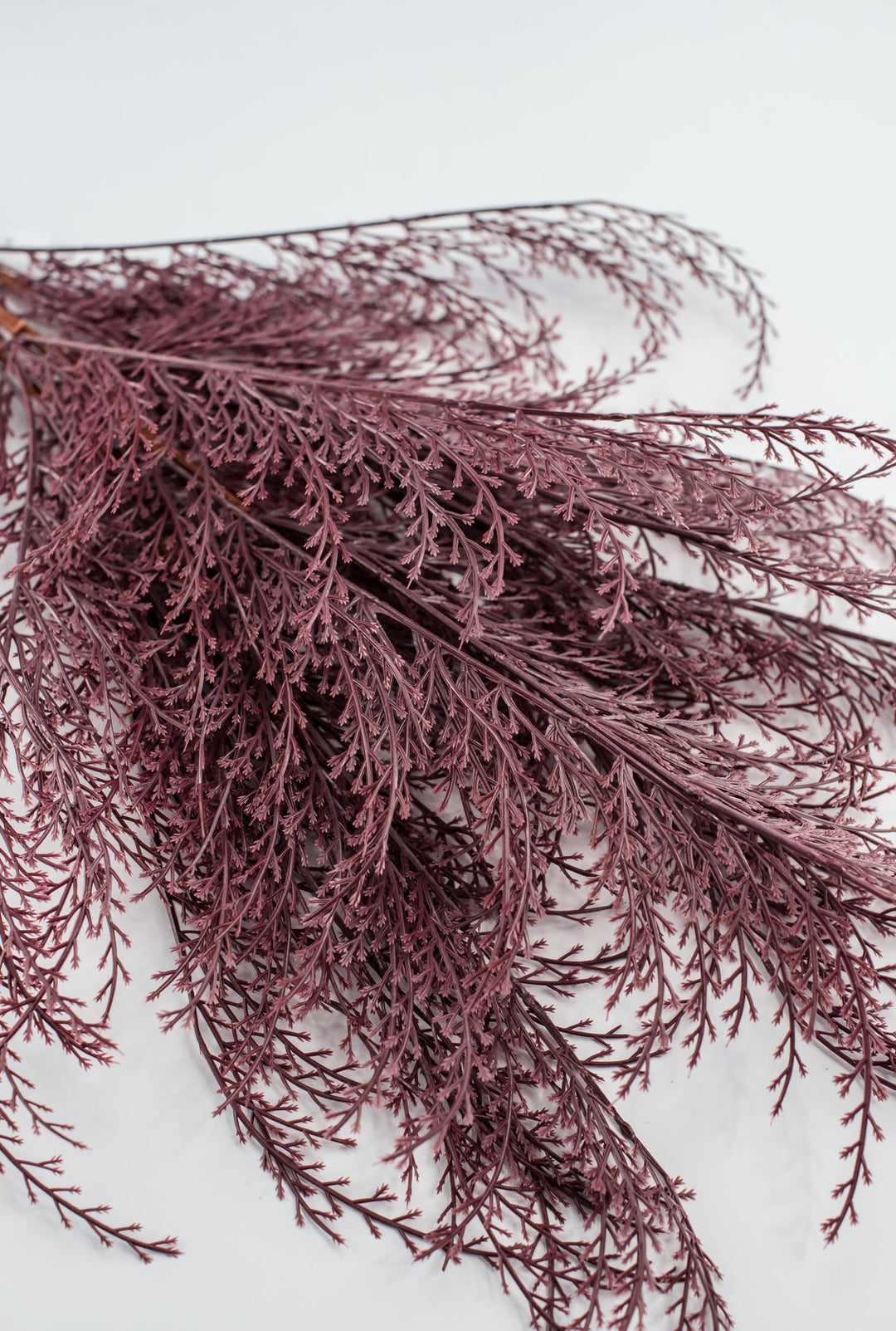 Feather fern bundle - burgundy - Greenery Marketgreenery82680 - BG