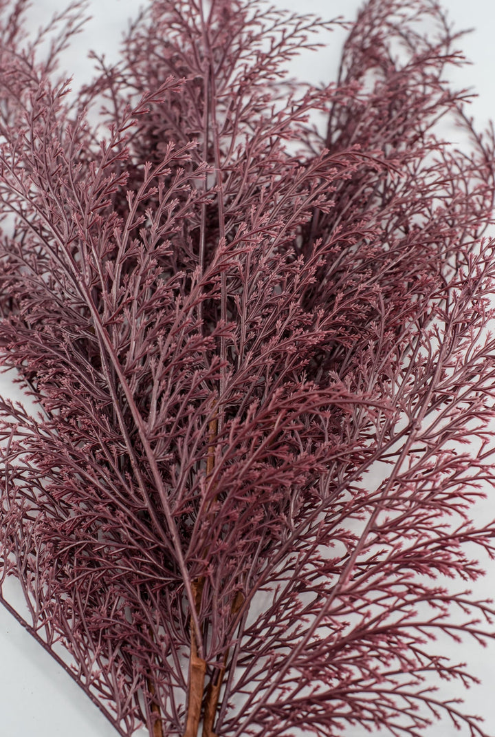 Feather fern bundle - burgundy - Greenery Marketgreenery82680 - BG