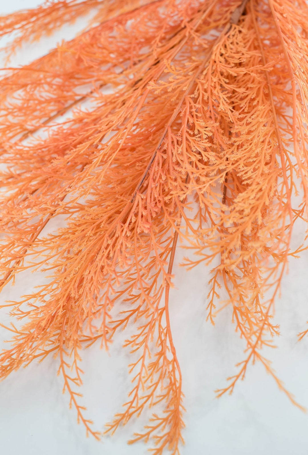 Feather fern bundle - orange - Greenery Marketgreenery82680 - OR