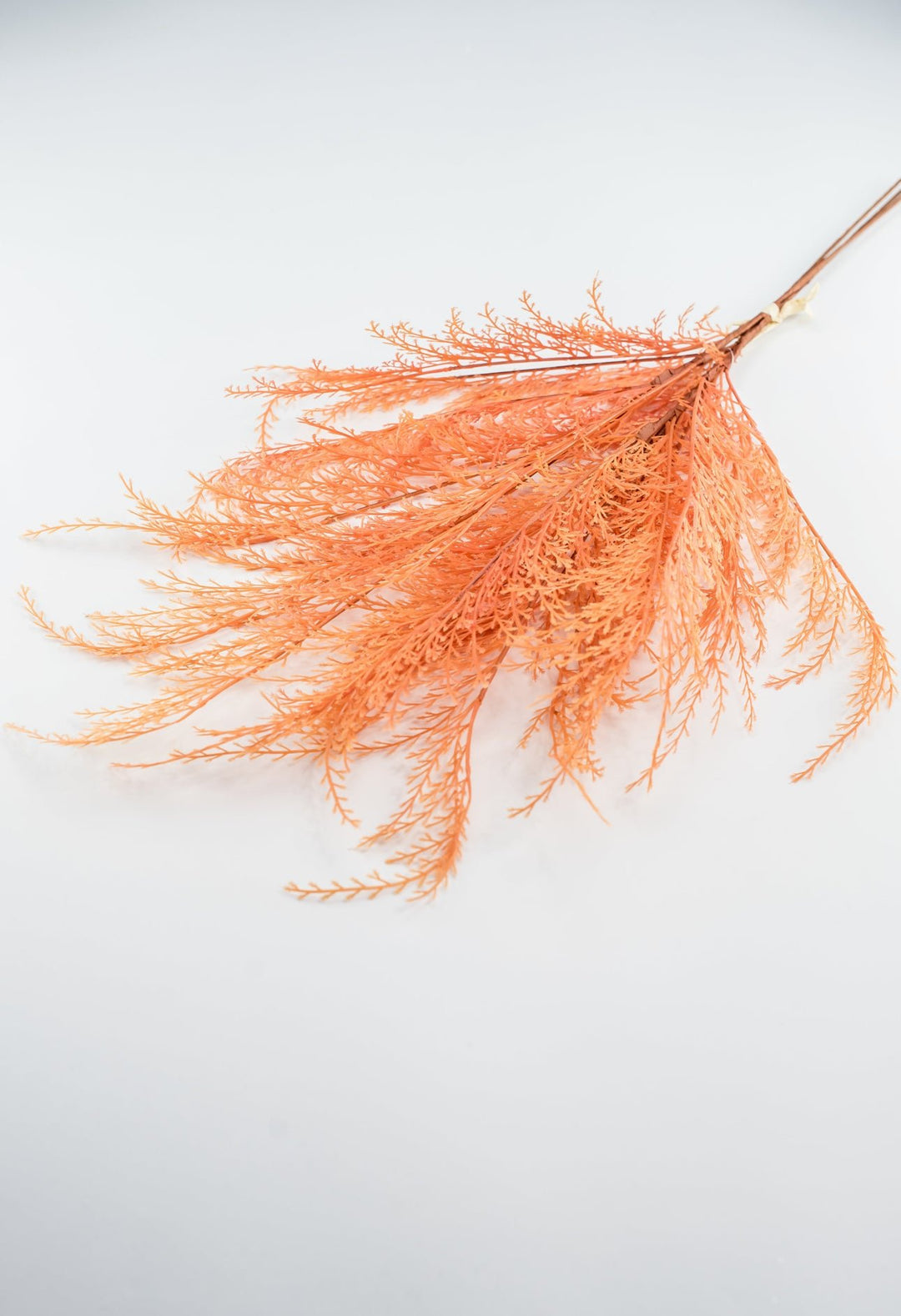 Feather fern bundle - orange - Greenery Marketgreenery82680 - OR