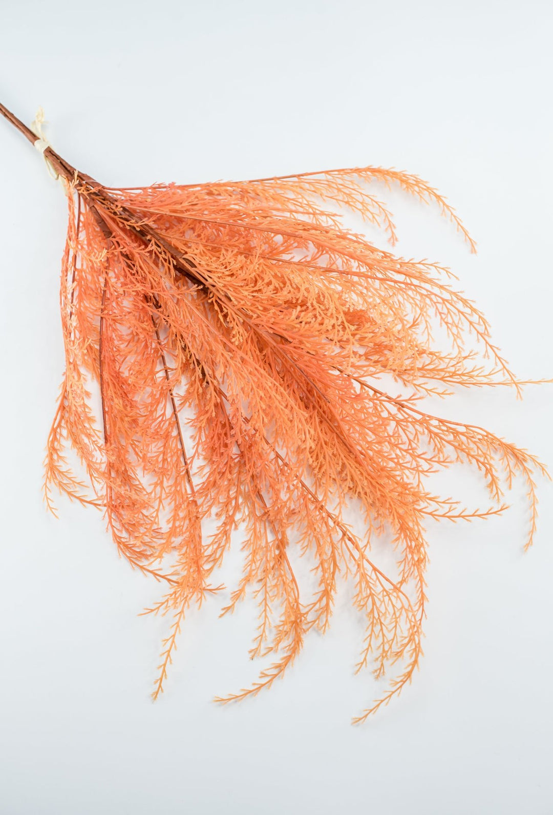 Feather fern bundle - orange - Greenery Marketgreenery82680 - OR