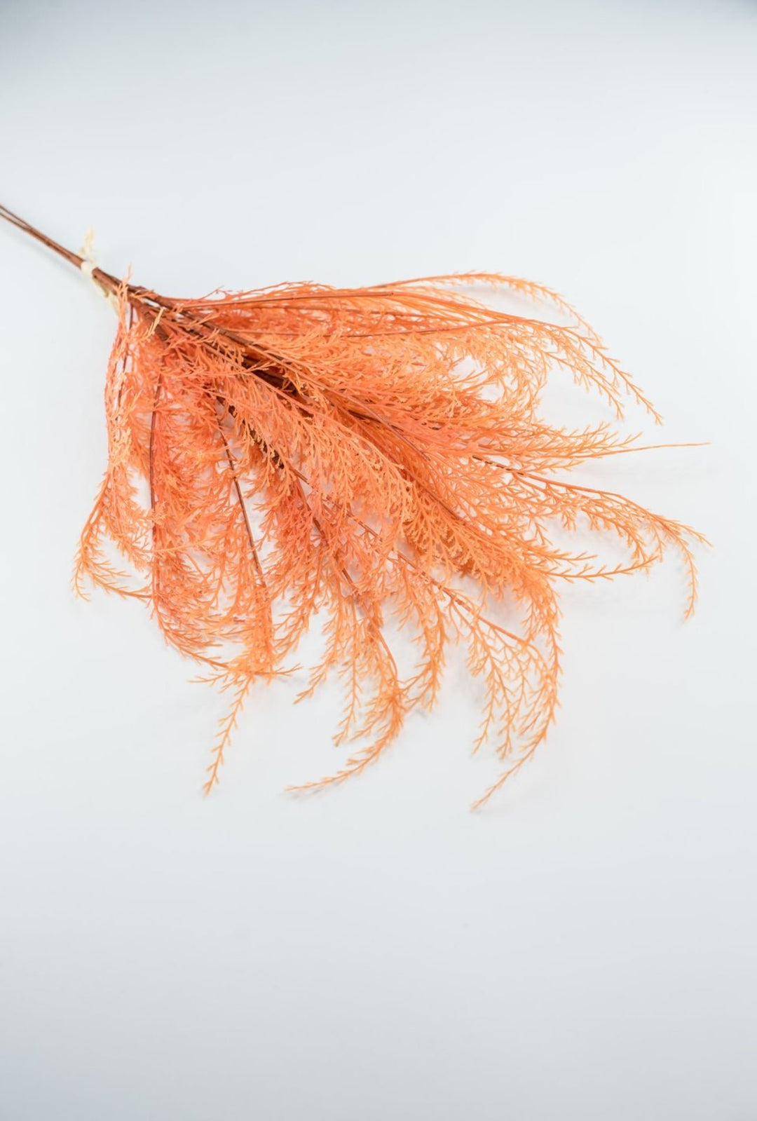 Feather fern bundle - orange - Greenery Marketgreenery82680 - OR