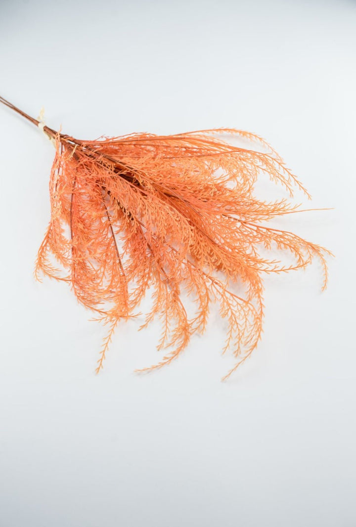 Feather fern bundle - orange - Greenery Marketgreenery82680 - OR