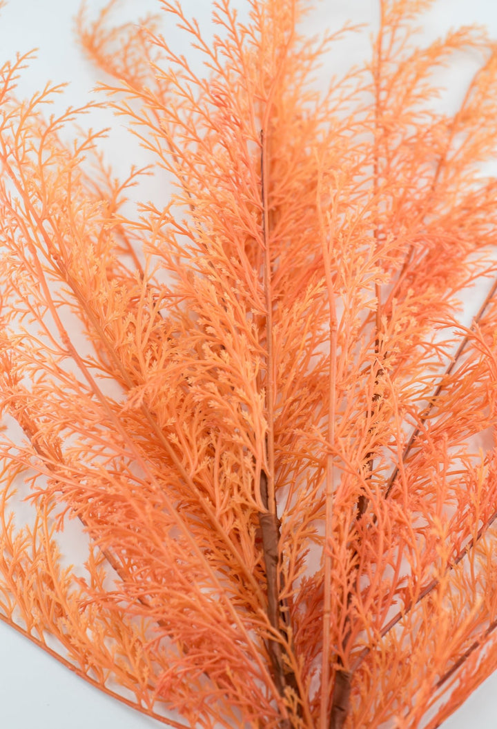 Feather fern bundle - orange - Greenery Marketgreenery82680 - OR