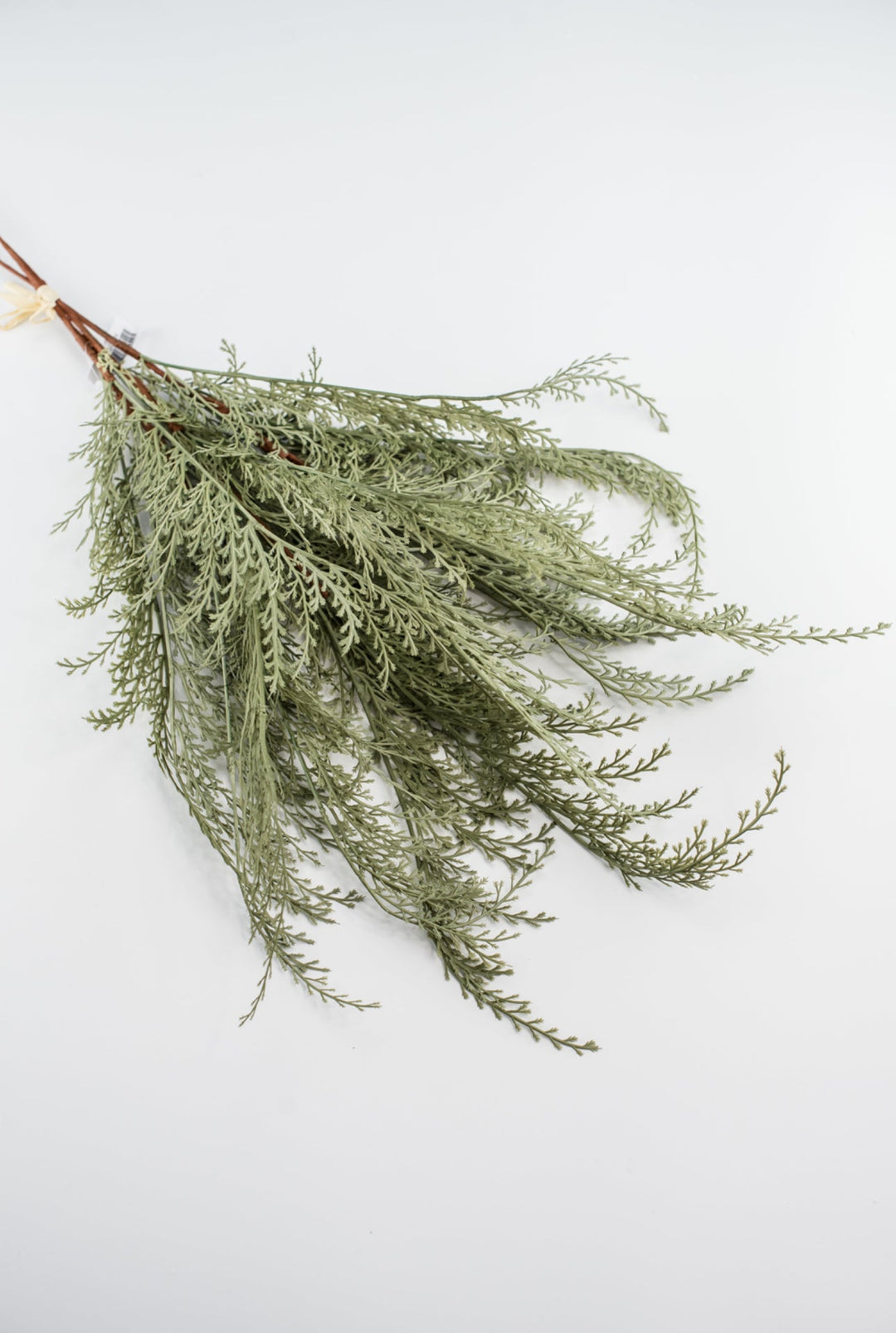 Feather fern bundle - sage - Greenery Marketgreenery82680 - GN