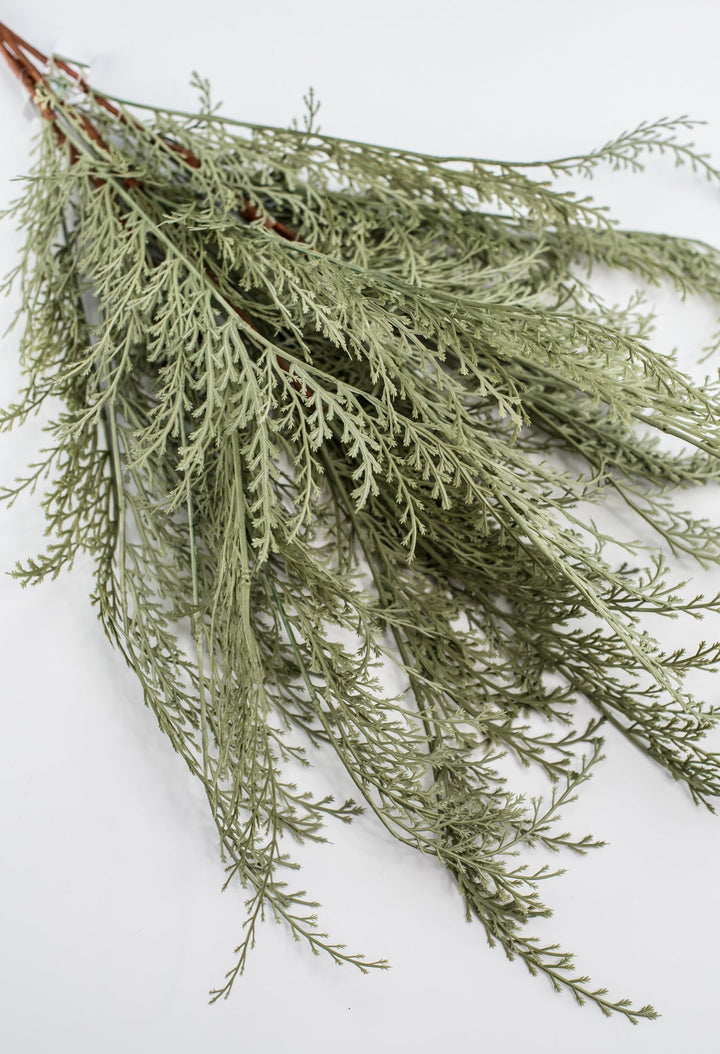 Feather fern bundle - sage - Greenery Marketgreenery82680 - GN