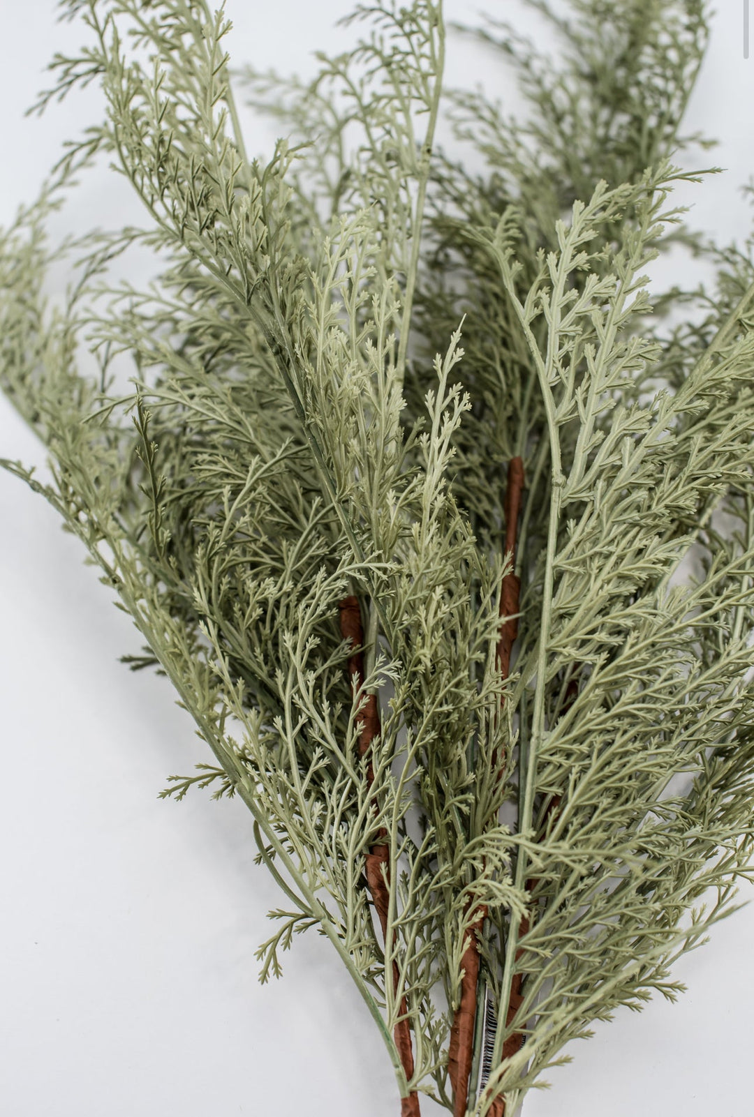 Feather fern bundle - sage - Greenery Marketgreenery82680 - GN