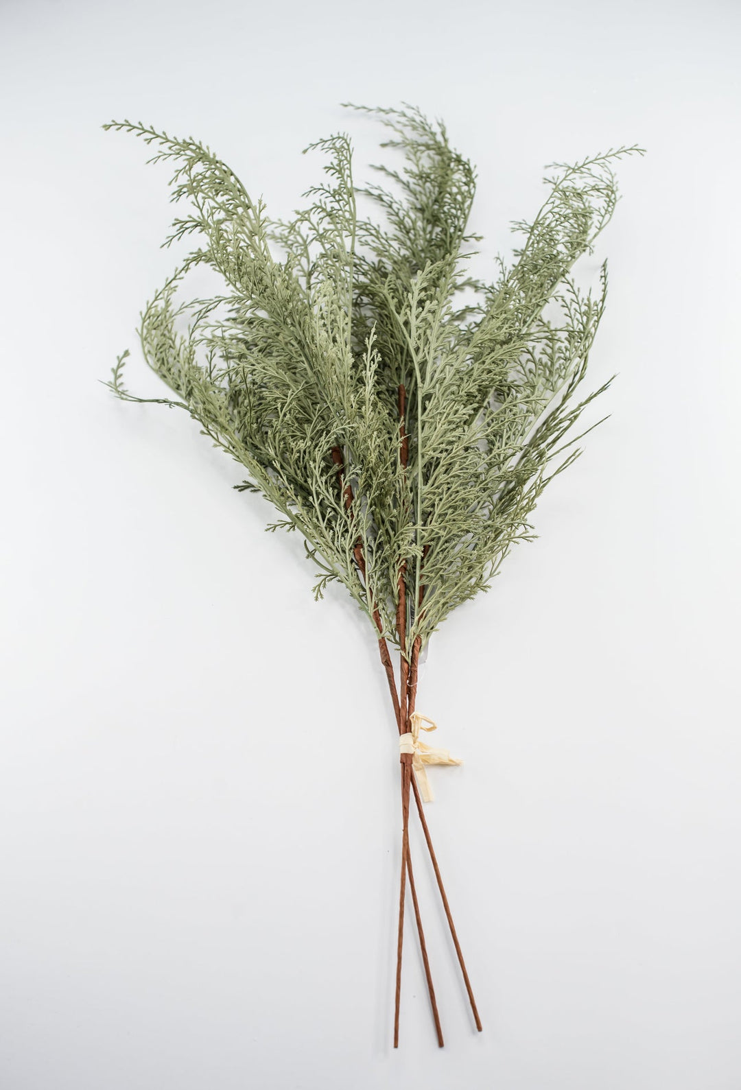 Feather fern bundle - sage - Greenery Marketgreenery82680 - GN