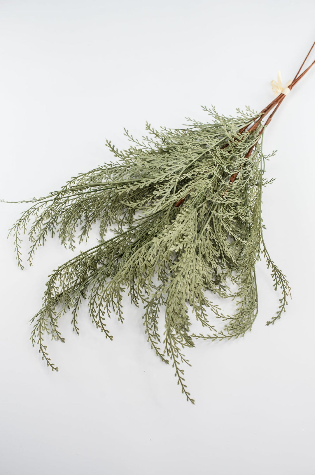 Feather fern bundle - sage - Greenery Marketgreenery82680 - GN