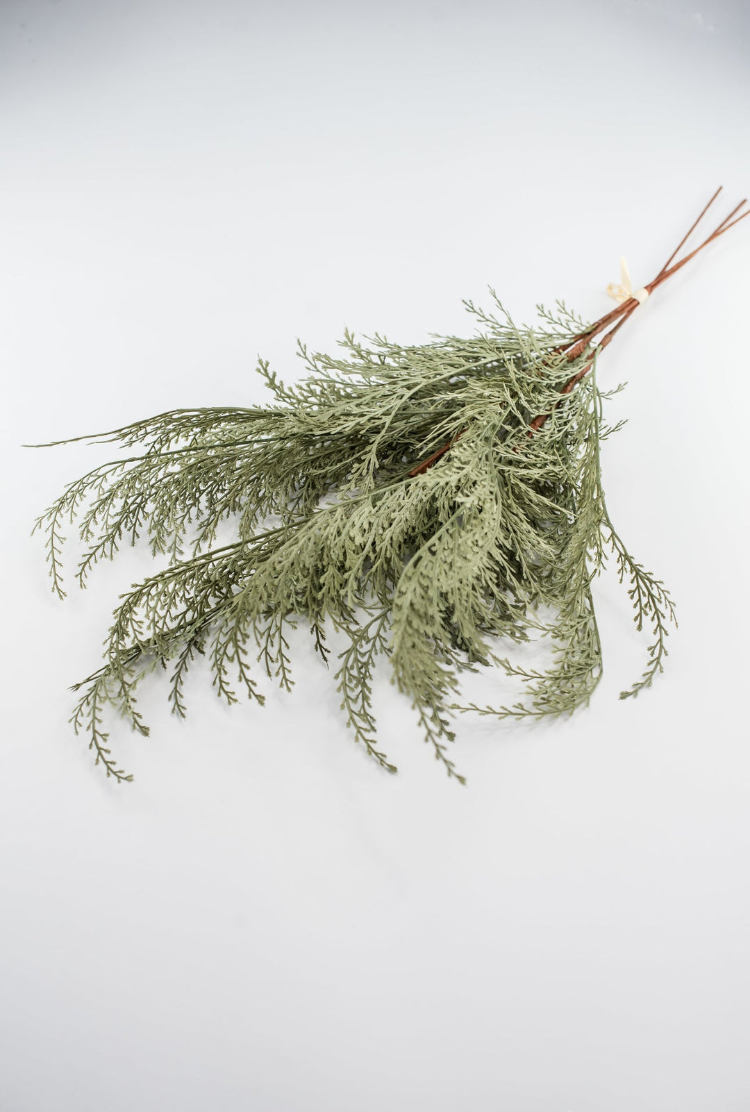 Feather fern bundle - sage - Greenery Marketgreenery82680 - GN