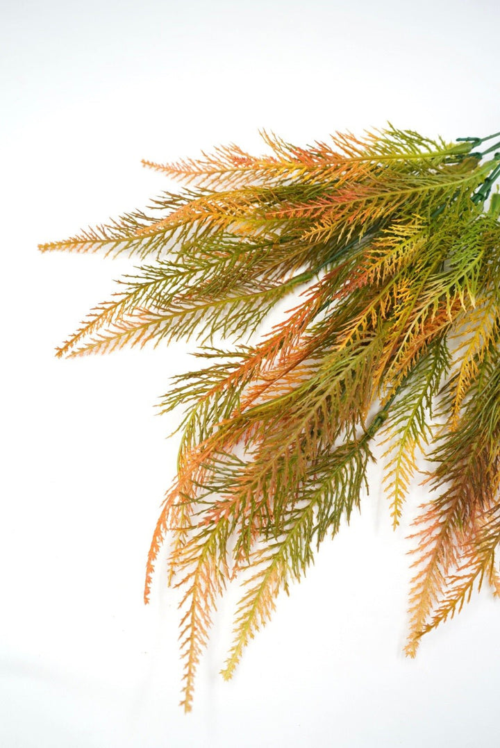 Feather fern, orange tipped greenery bush x 2 bushes - Greenery Marketspring summer greenery43204