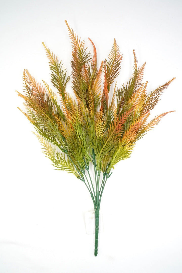 Feather fern, orange tipped greenery bush x 2 bushes - Greenery Marketspring summer greenery43204