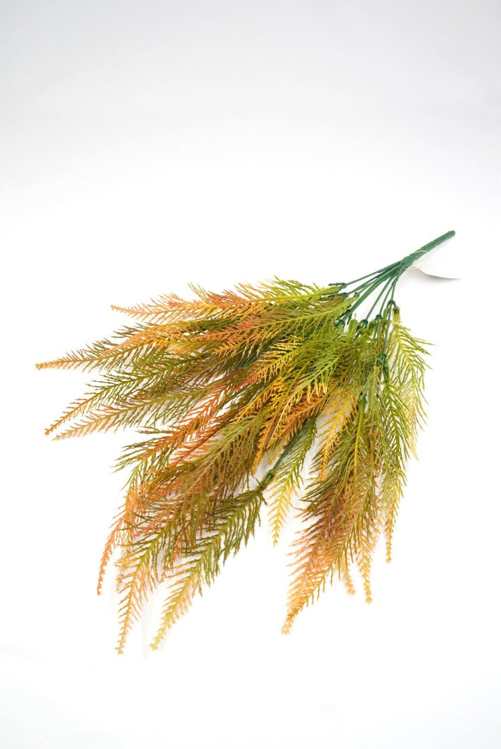 Feather fern, orange tipped greenery bush x 2 bushes - Greenery Marketspring summer greenery43204