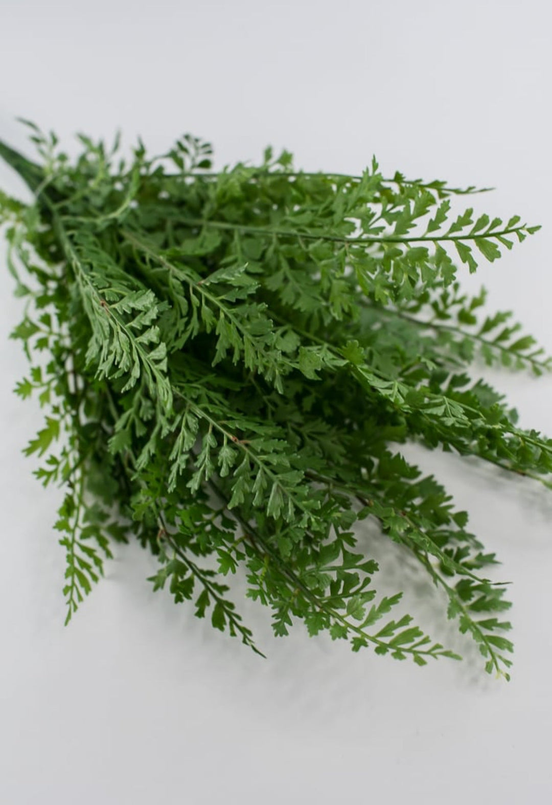 Fern bundle bush - Greenery MarketArtificial Flora80633