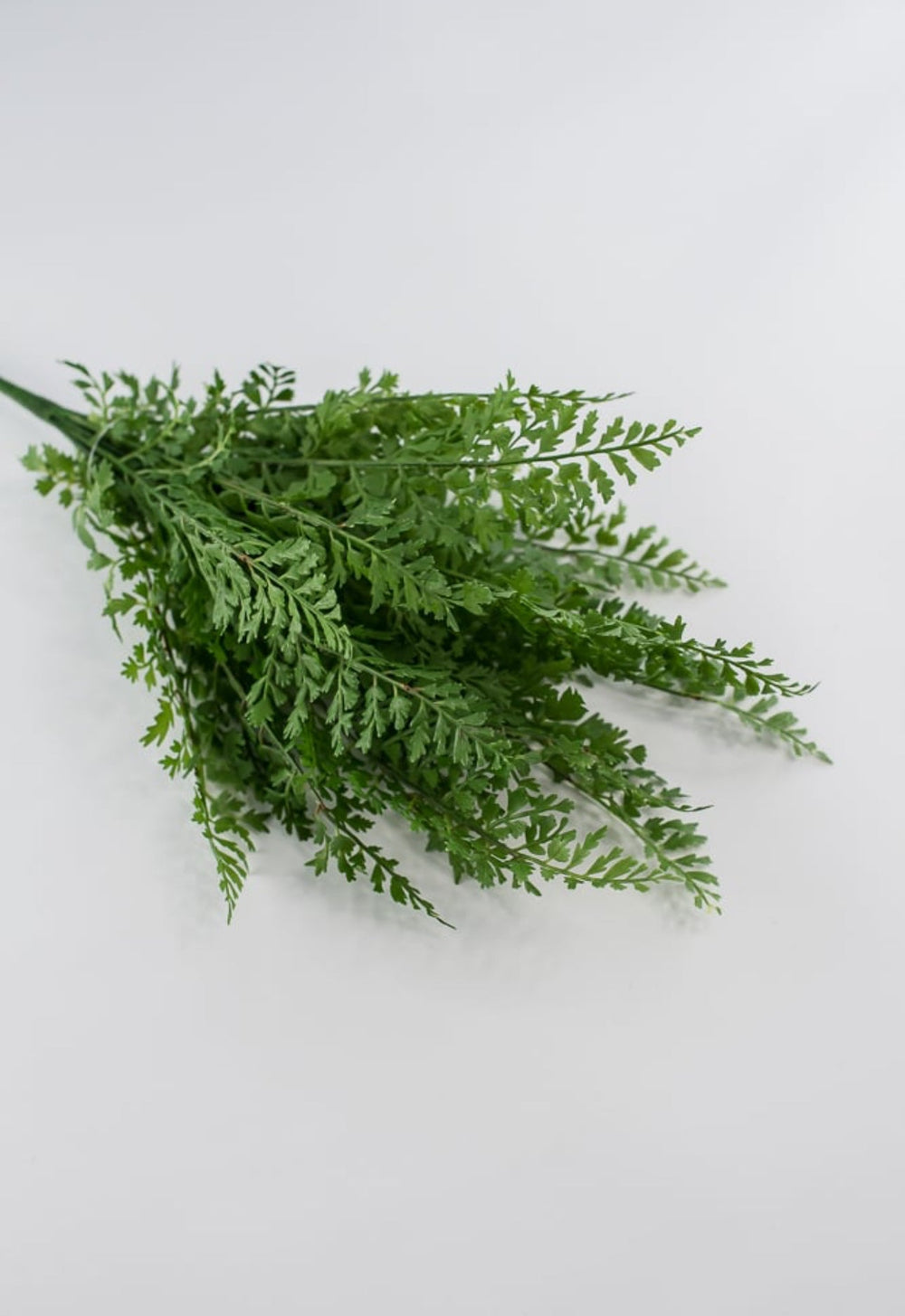 Fern bundle bush - Greenery MarketArtificial Flora80633