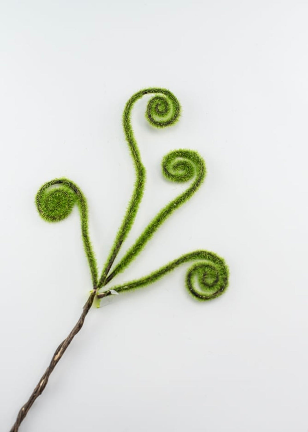 Fern fronds pick with moss - wired - Greenery Marketgreenery29448gn