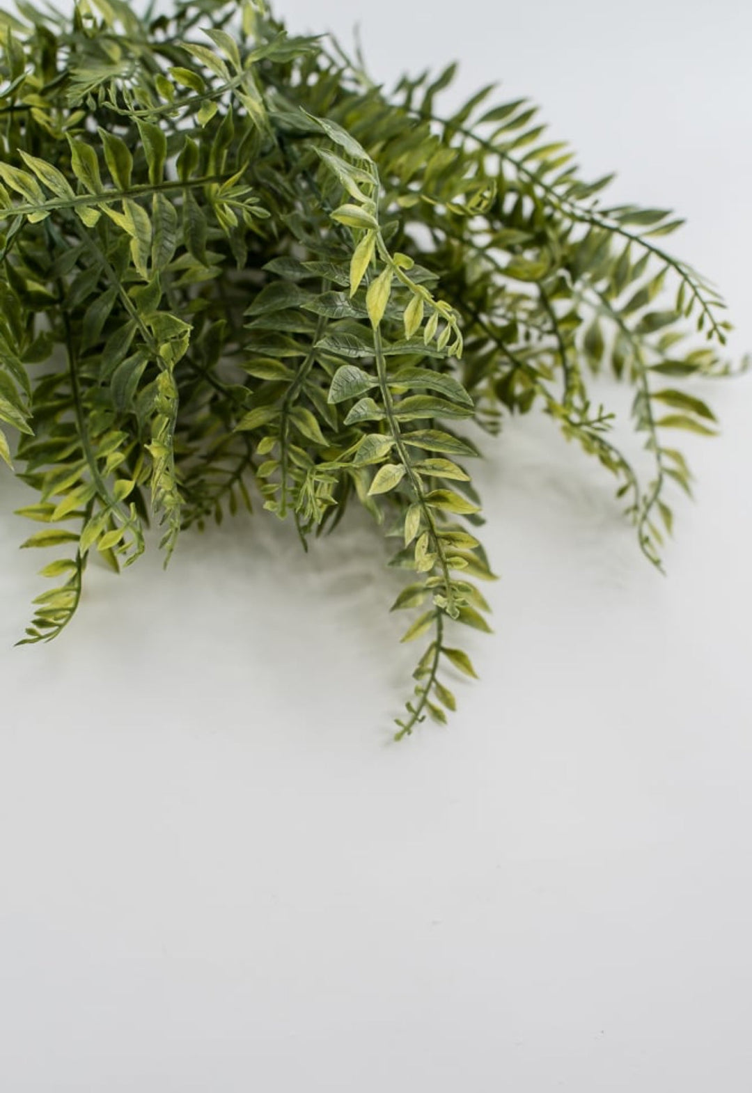 Fern PVC bush - Greenery Marketgreenery13402gn