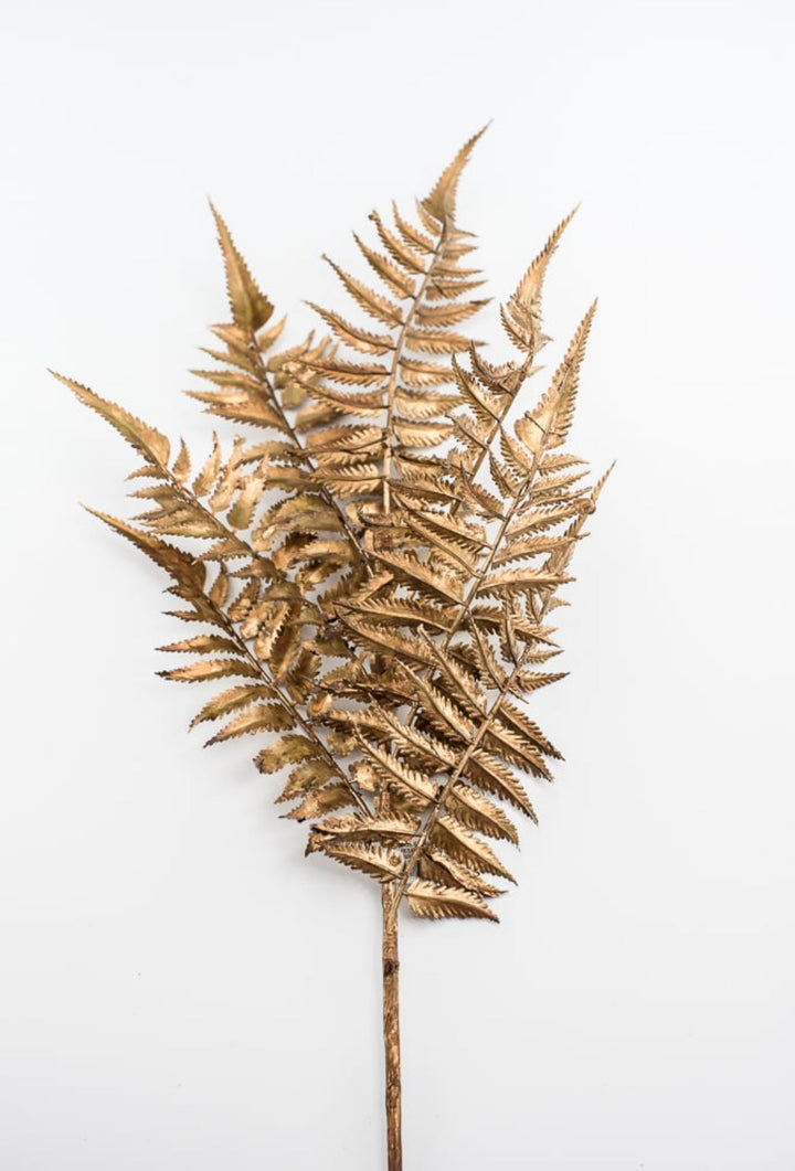 Fern spray - antique bronze / copper - Greenery MarketXg882 - brzgo