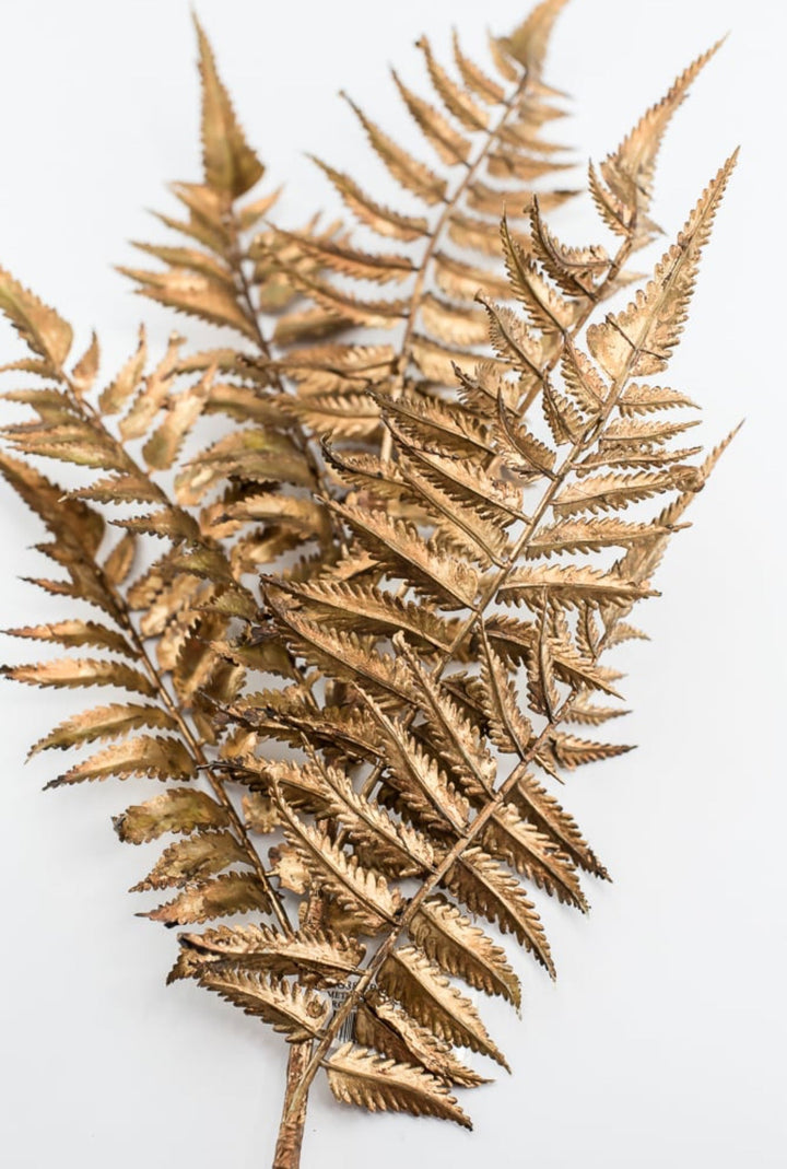 Fern spray - antique bronze / copper - Greenery MarketXg882 - brzgo