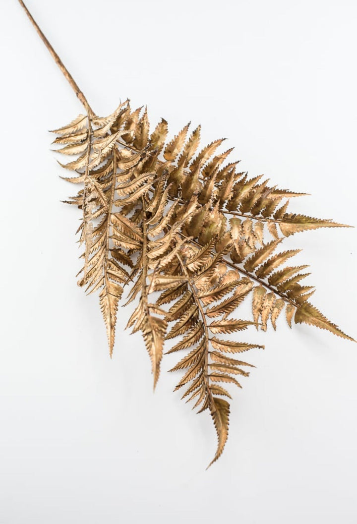 Fern spray - antique bronze / copper - Greenery MarketXg882 - brzgo