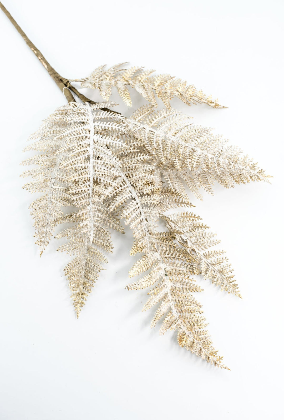 Fern Spray Frost With Gold - Greenery Market32141