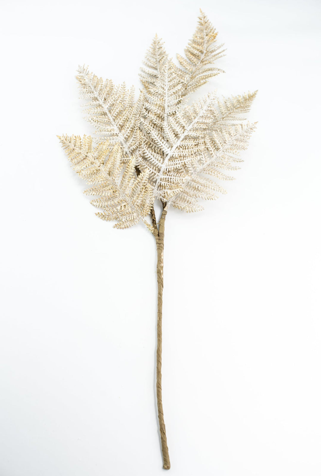 Fern Spray Frost With Gold - Greenery Market32141