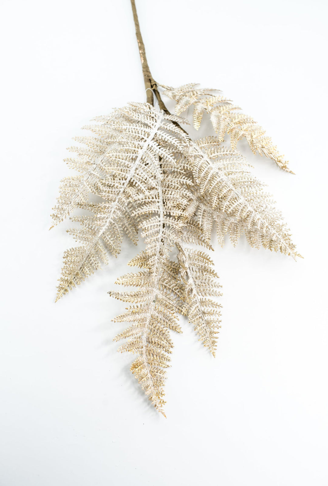 Fern Spray Frost With Gold - Greenery Market32141
