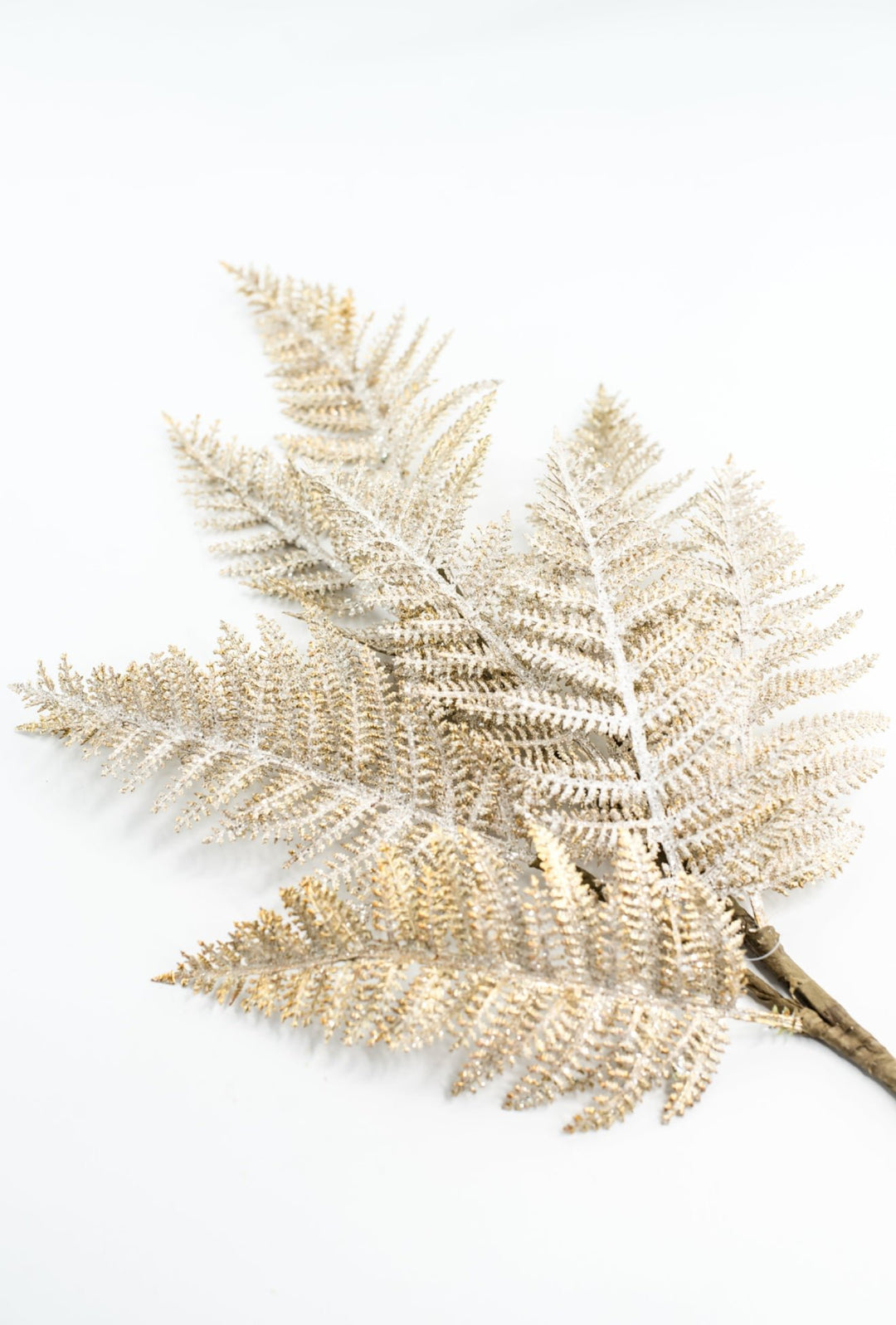 Fern Spray Frost With Gold - Greenery Market32141