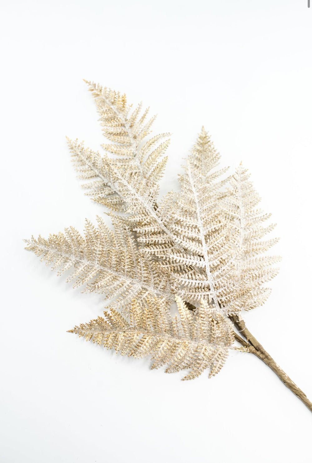 Fern Spray Frost With Gold - Greenery Market32141