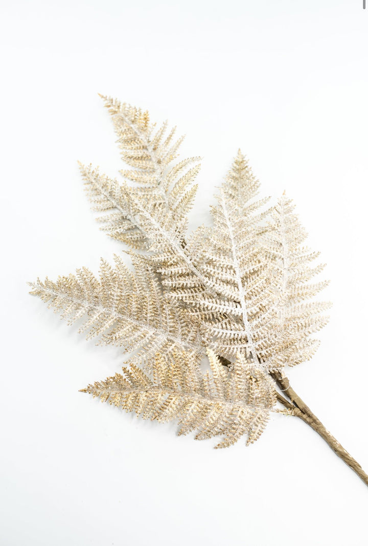 Fern Spray Frost With Gold - Greenery Market32141