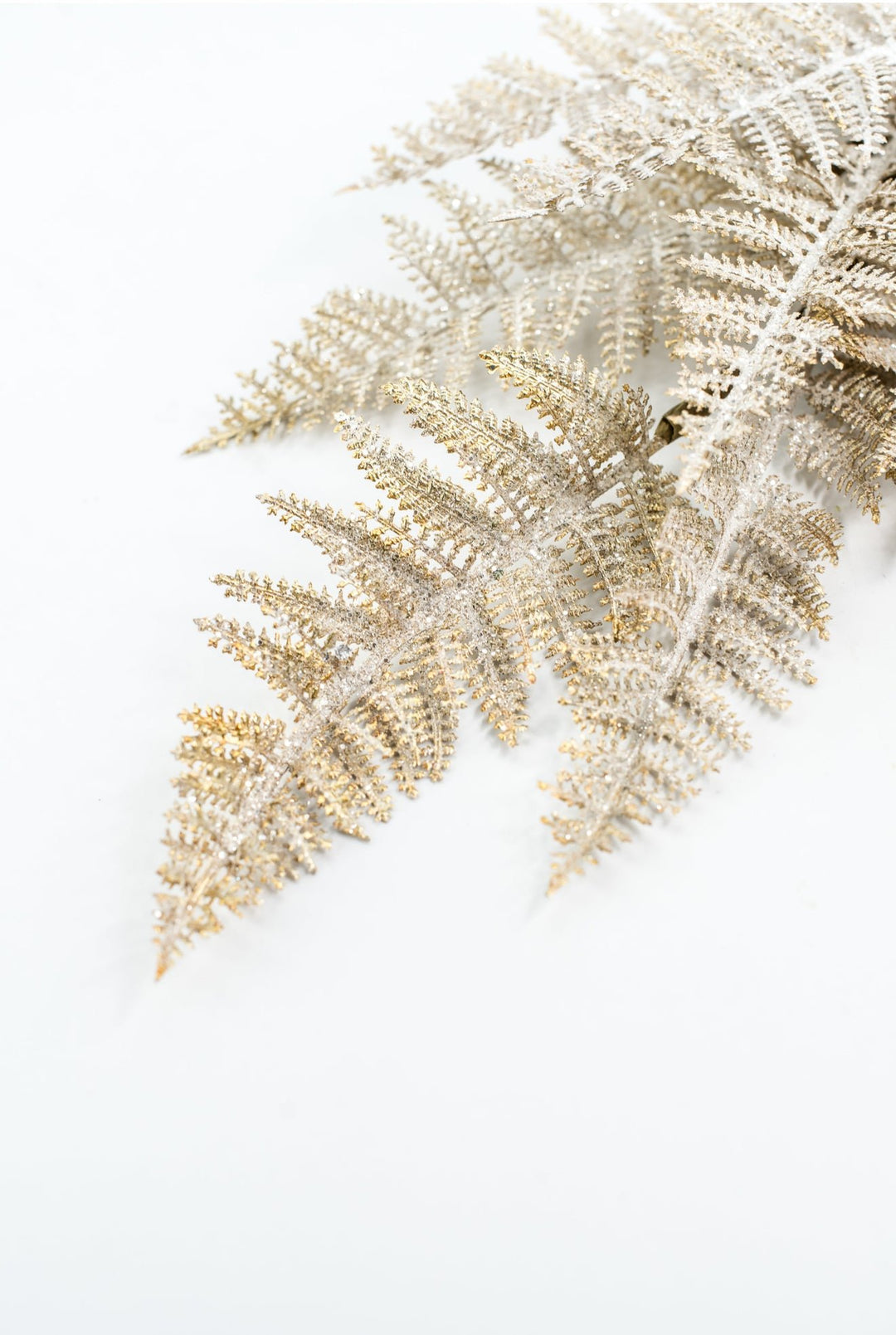 Fern Spray Frost With Gold - Greenery Market32141