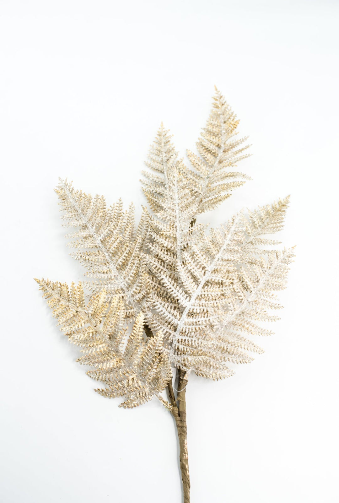 Fern Spray Frost With Gold - Greenery Market32141