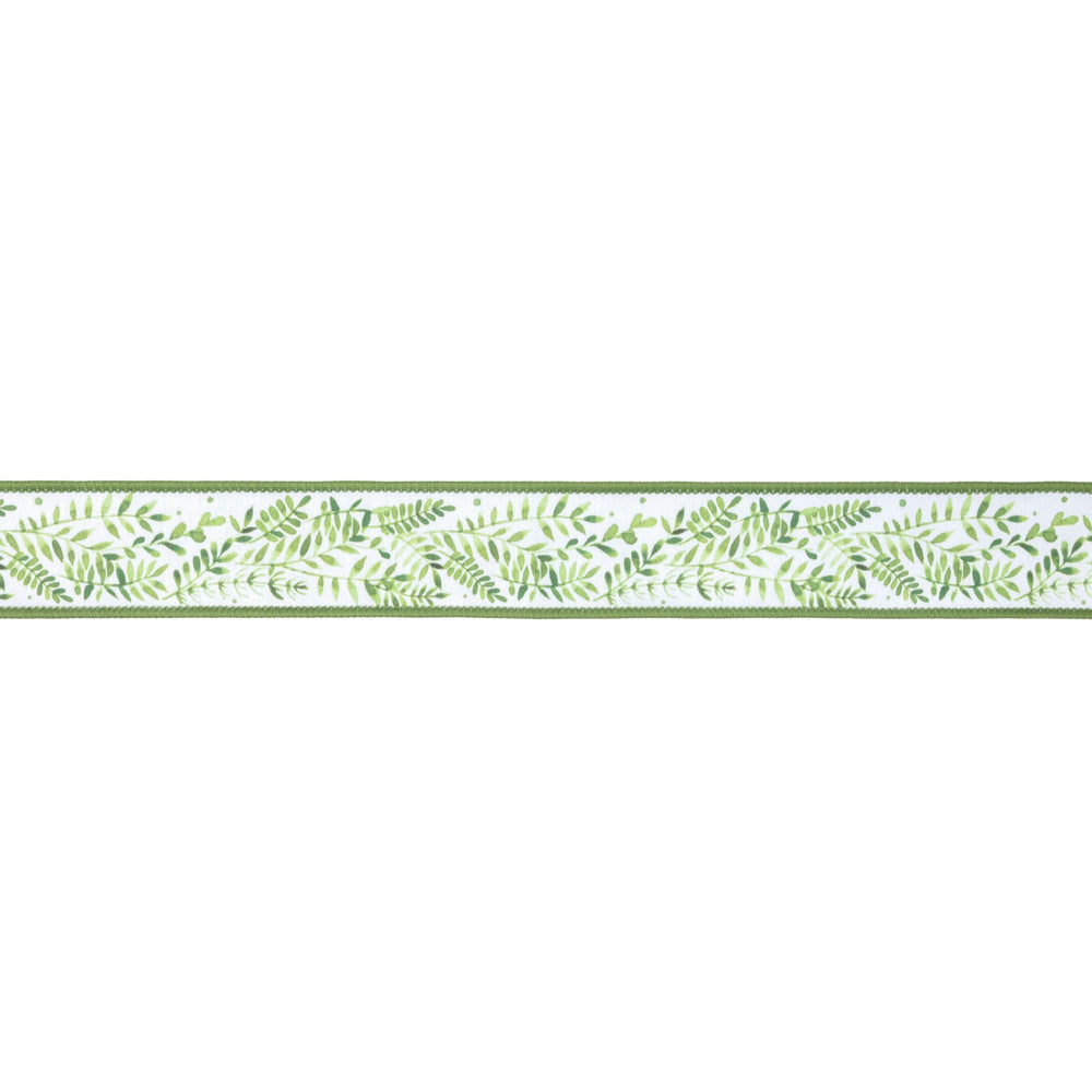 Ferns On White with Green Backing Wired Dupioni Ribbon - 1.5" - Greenery MarketWired Ribbon9379W-572-38E
