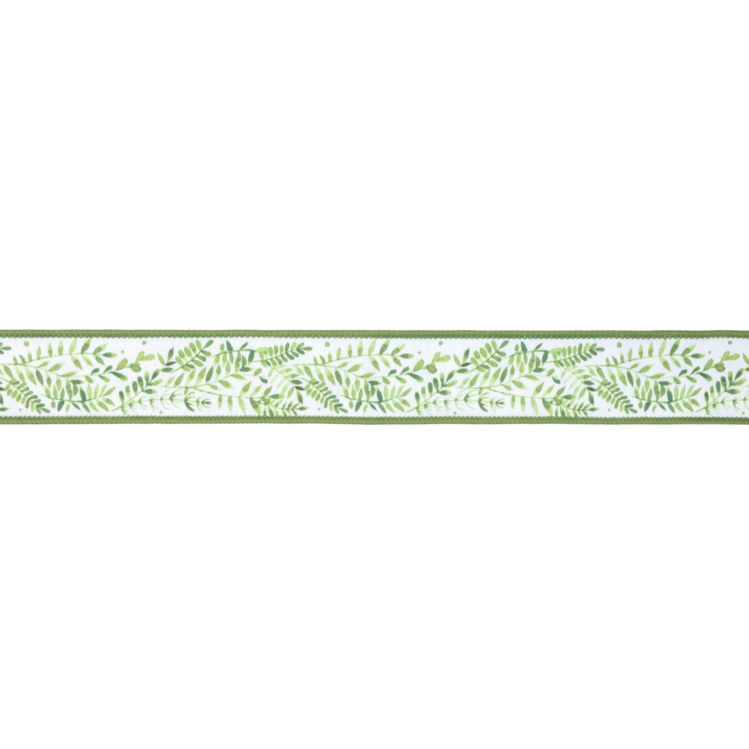 Ferns On White with Green Backing Wired Dupioni Ribbon - 1.5" - Greenery MarketWired Ribbon9379W-572-38E