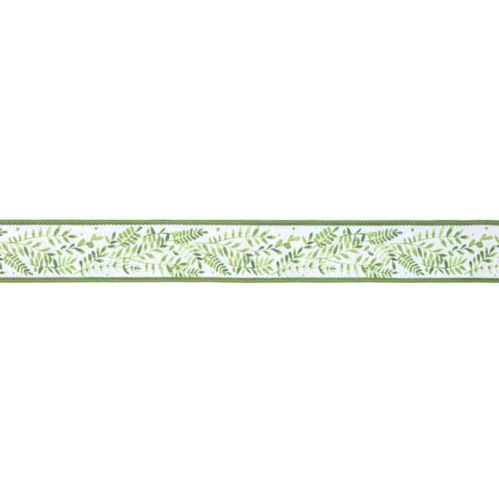 Ferns On White with Green Backing Wired Dupioni Ribbon - 1.5" - Greenery MarketWired Ribbon9379W-572-38E