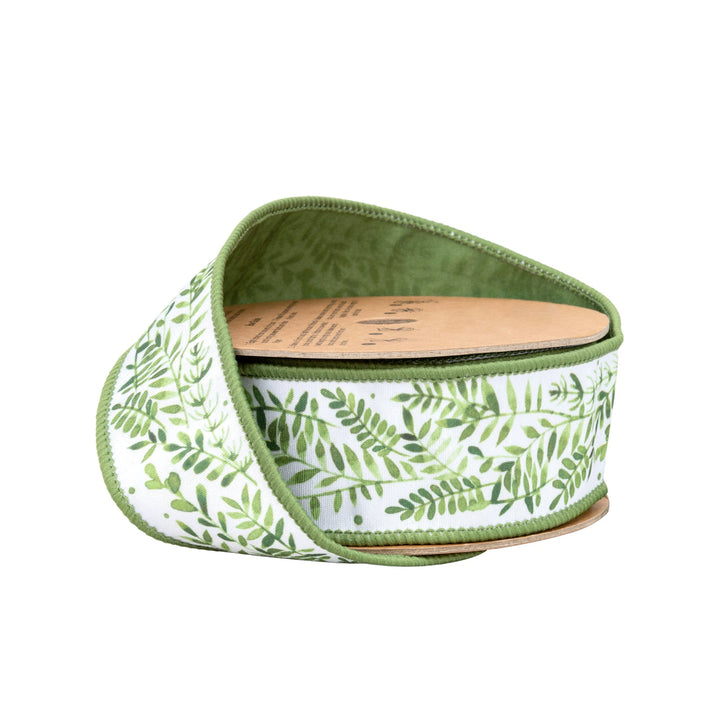 Ferns On White with Green Backing Wired Dupioni Ribbon - 1.5" - Greenery MarketWired Ribbon9379W-572-38E