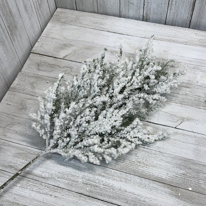 Flocked Cedar Pine pick with snow - Greenery Marketgreenery26087