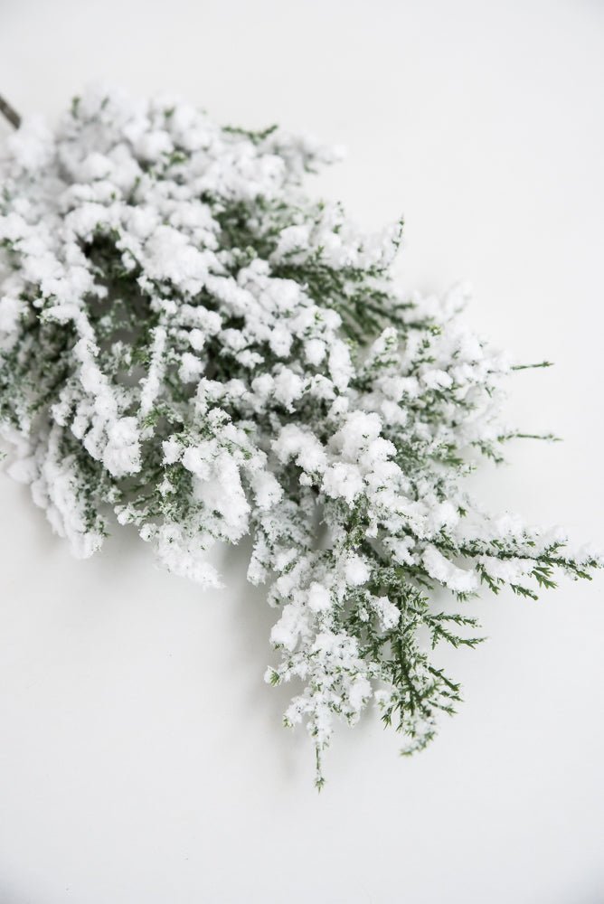 Flocked Cedar Pine spray with snow - Greenery Marketgreenery26088