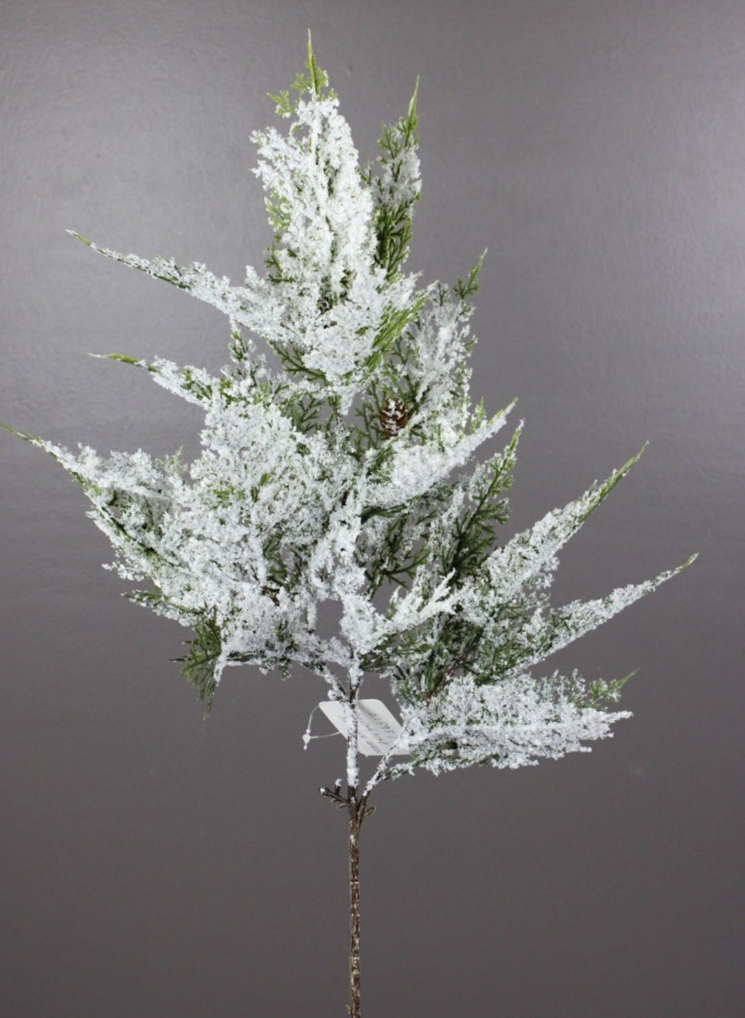 Flocked pine with cones spray - Greenery Market215957